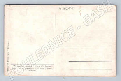 Pohlednice Borovice u Dyje Bítov Morava (M6687)