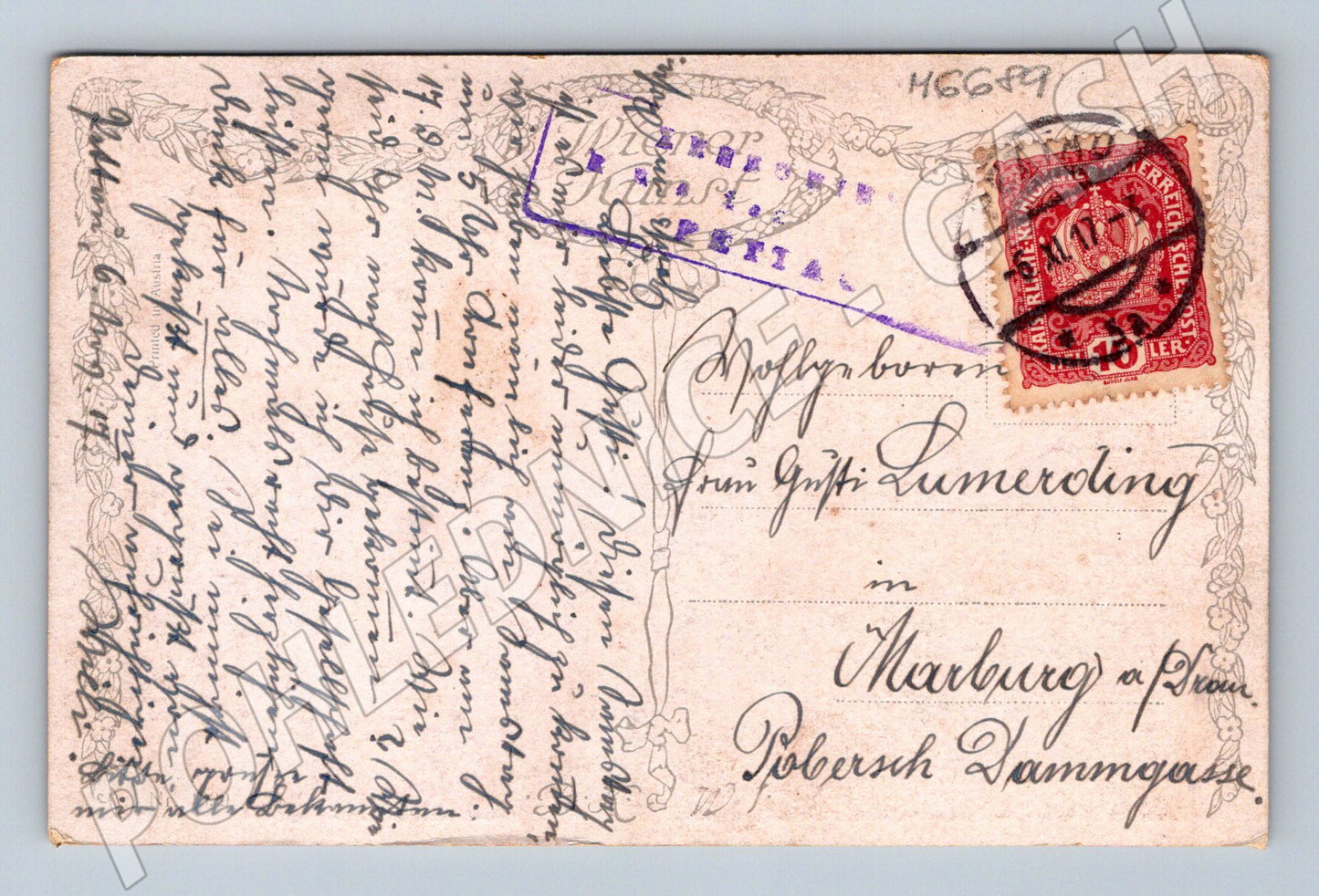 Pohlednice kočka v interiéru zaslaná (M6689)