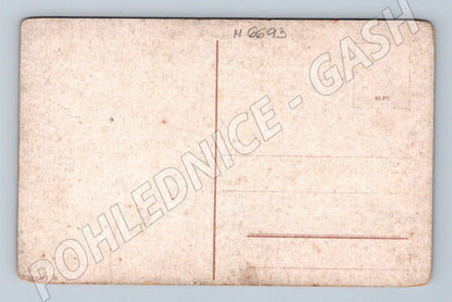 Pohlednice březový háj jezero kolor (M6693)