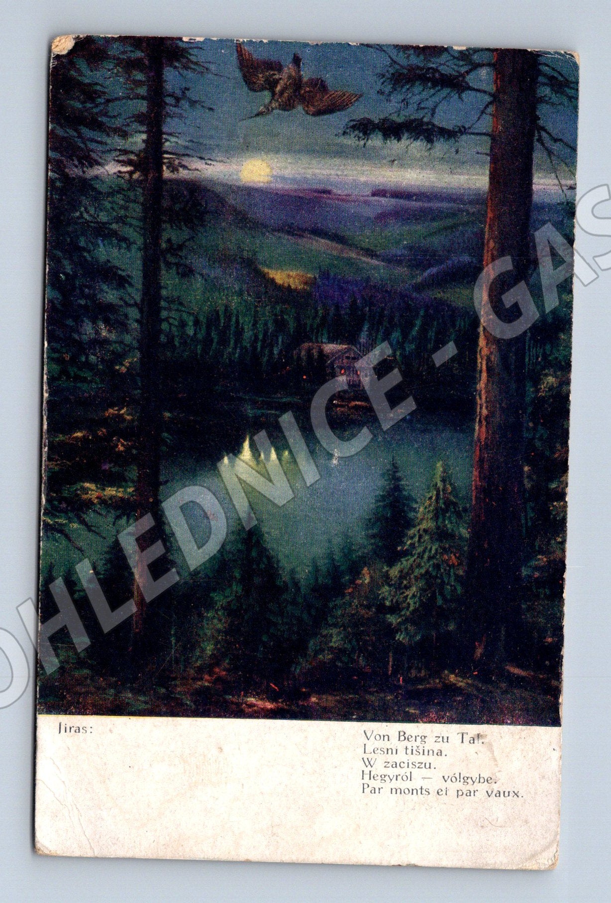 Pohlednice Náchod 1917 lesní krajina (M6695)