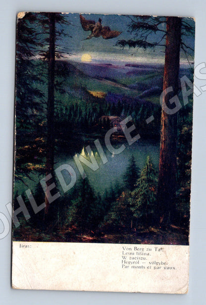 Pohlednice Náchod 1917 lesní krajina (M6695)