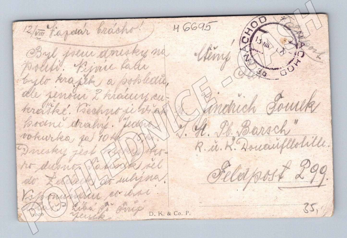 Pohlednice Náchod 1917 lesní krajina (M6695)