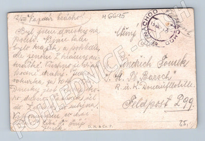 Pohlednice Náchod 1917 lesní krajina (M6695)