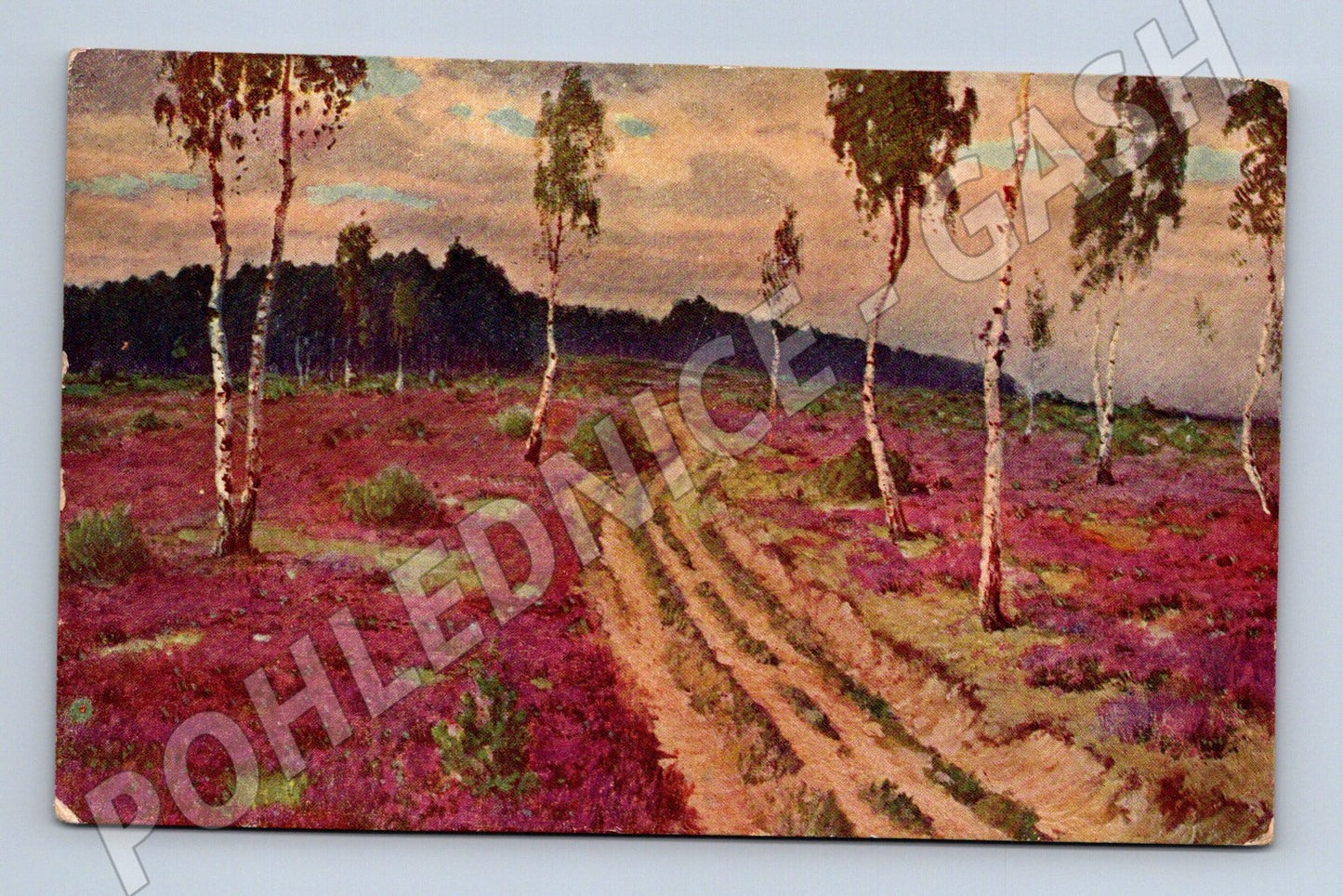 Postcard Czech landscape by V. Jans (M6700)
