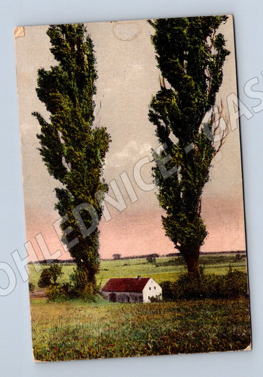 Pohlednice venkovská krajina ČR do 1950 (M6702)