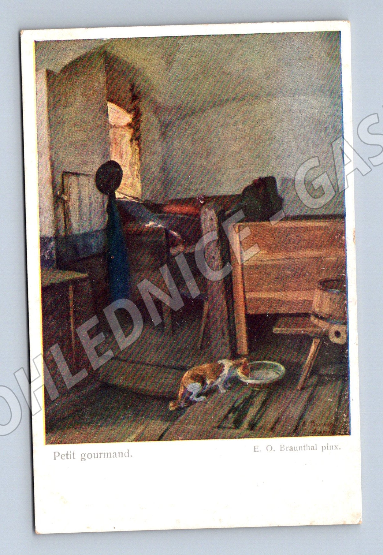 Pohlednice kočka v kuchyni Petit gourmand (M6705)