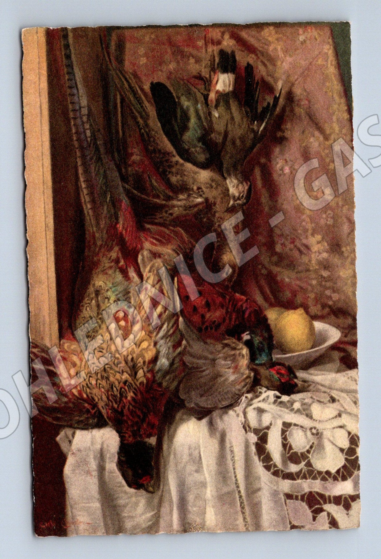 Pohlednice zátiší bažant holub Itálie (M6712)