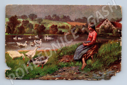 Pohlednice venkov s husami u rybníka (M6715)
