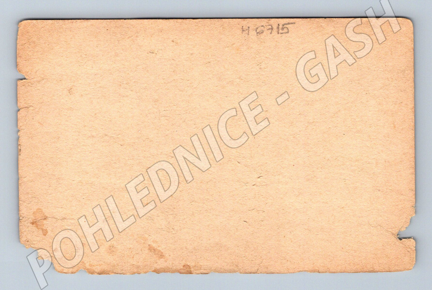 Pohlednice venkov s husami u rybníka (M6715)