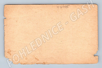 Pohlednice venkov s husami u rybníka (M6715)