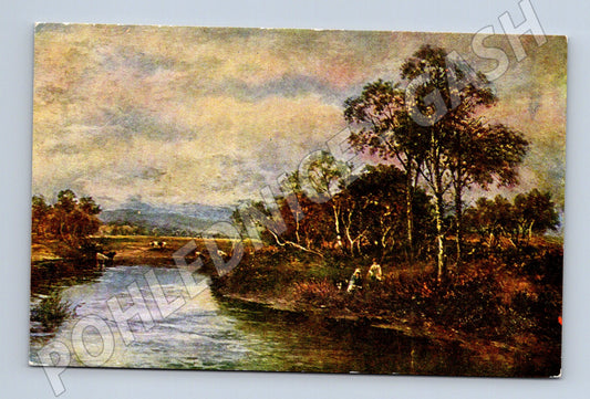 Postcard landscape by the river cows (M6739)