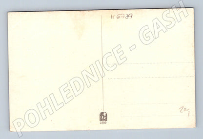 Postcard landscape by the river cows (M6739)