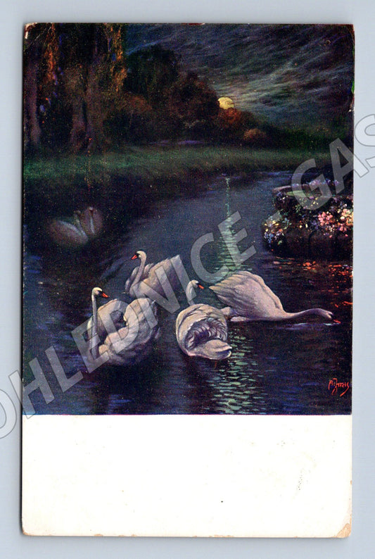 Postcard swans on a pond 1990 (M6741)