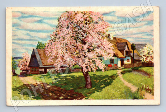 Postcard In the sunshine, the Czech countryside (M6743)