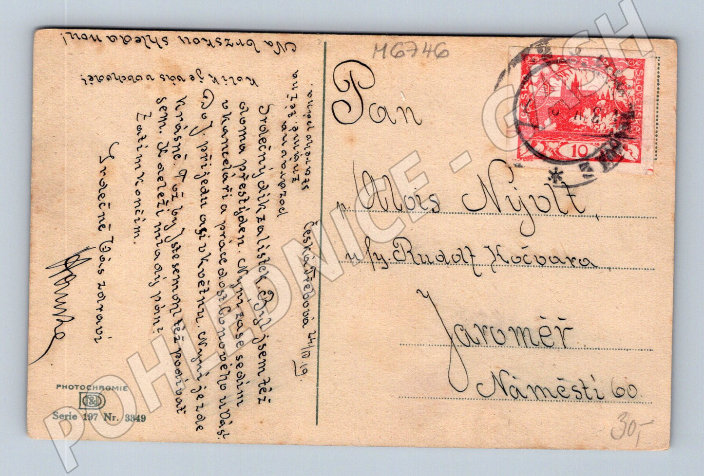 Pohlednice tropická alej palmy Asie (M6746)