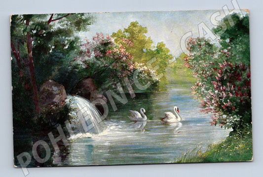 Postcard pond with swans nature (M6747)