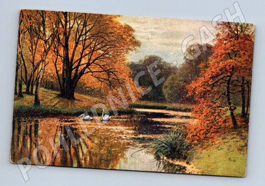 Postcard autumn landscape swans (M6749)