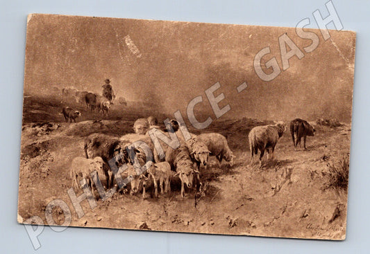 Postcard Shepherd and Sheep On the Farm (M6750)