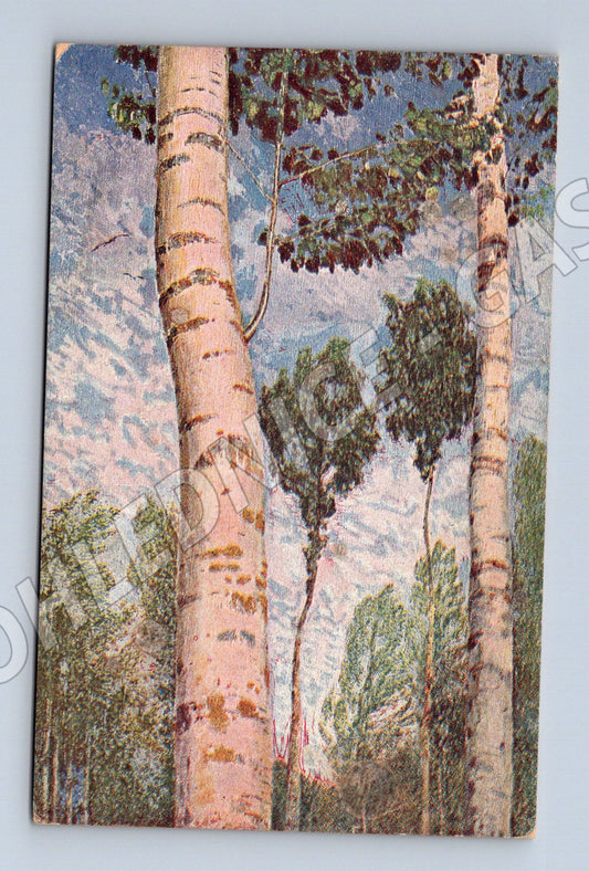 Postcard Alois Kalvoda Birch 1921 (M6761)