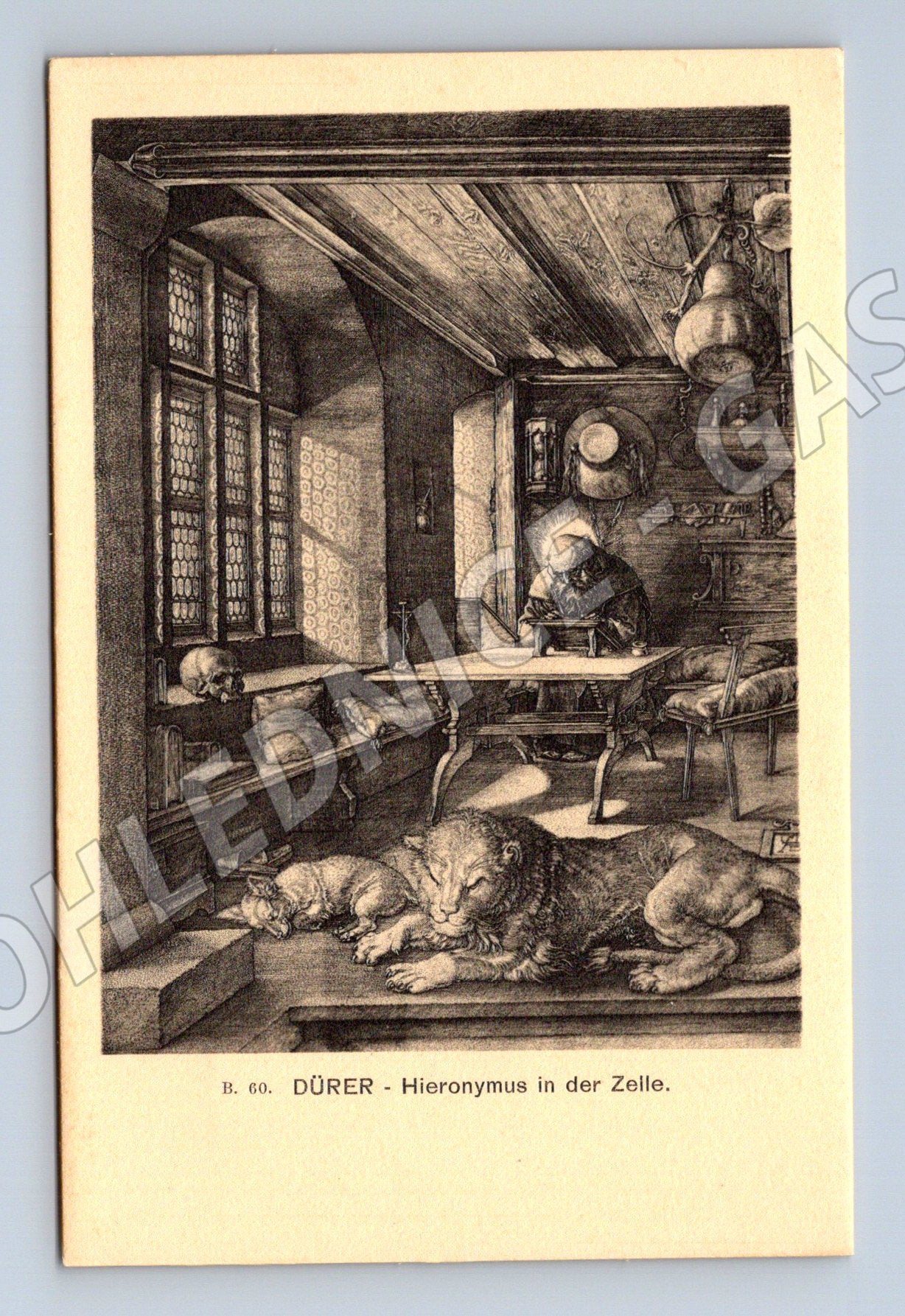 Pohlednice Dürer Hieronymus v cele (M6766)
