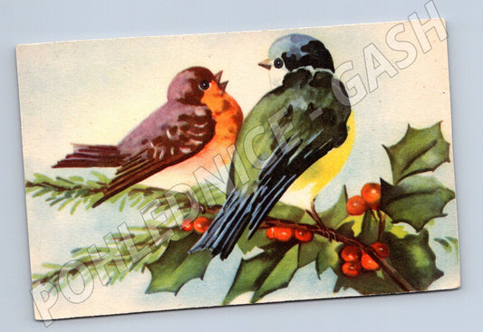 Postcard two birds on a branch Vincentinum (M6771)