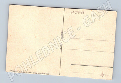 Postcard two birds on a branch Vincentinum (M6771)