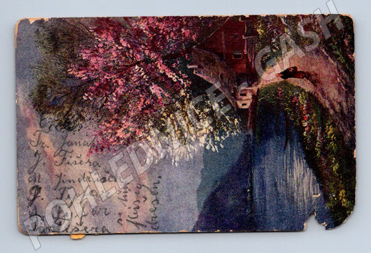 Postcard Czechoslovakia bridge river flowers small format (M6773)