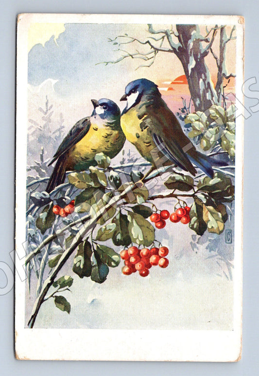Postcard birds on a crane Pavel Černý (M6779)