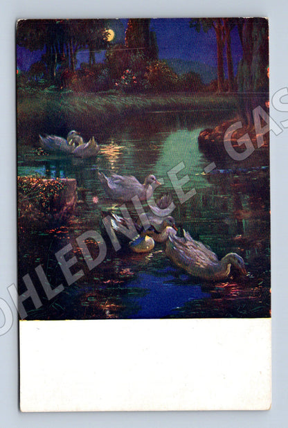 Postcard of night swans on the river KTP (M6811)