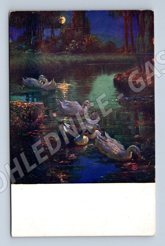 Postcard of night swans on the river KTP (M6811)