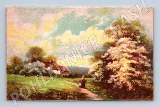 Postcard Czech landscape cottage 1958 (M6815)