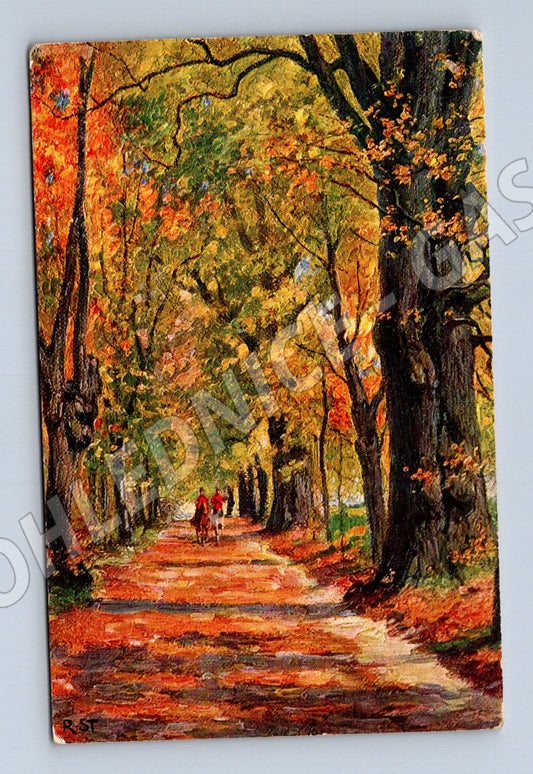 Postcard autumn park Egemes RU (M6816)