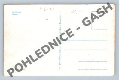Pohlednice Divišov černobílá stará do 1950 (M682)