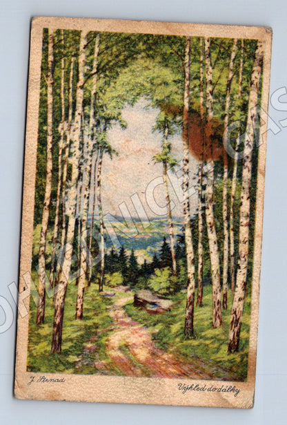 Postcard Distant View J. Hynais (M6829)