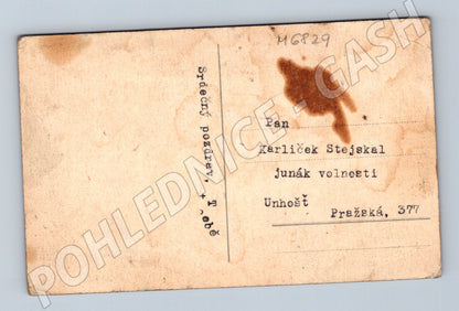 Postcard Distant View J. Hynais (M6829)