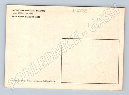 Postcard Bassano portrait of an old man (M6855)