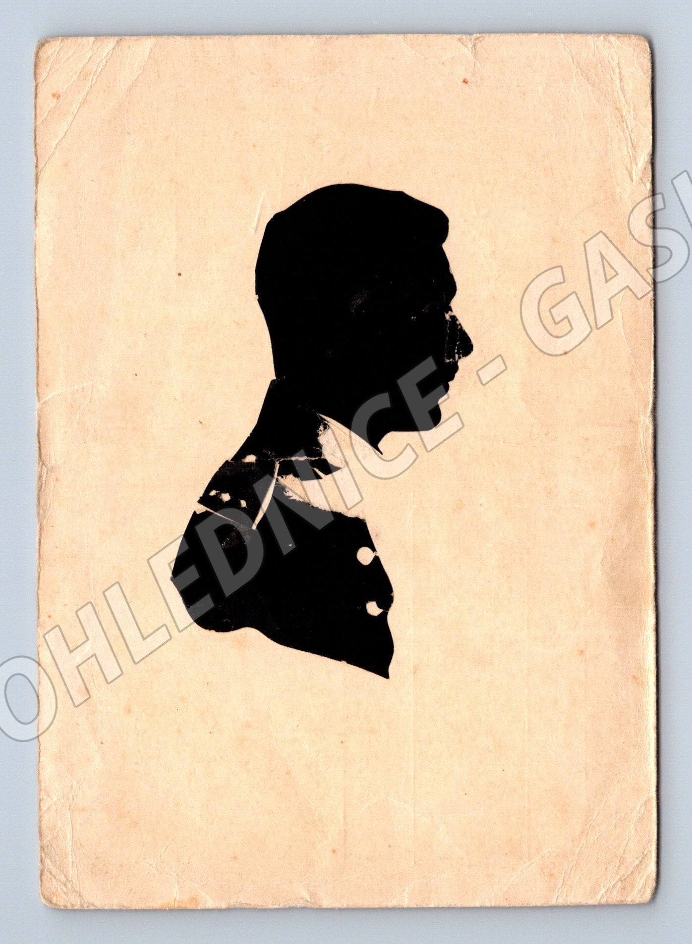 Postcard stylized horse handwritten (M6857)