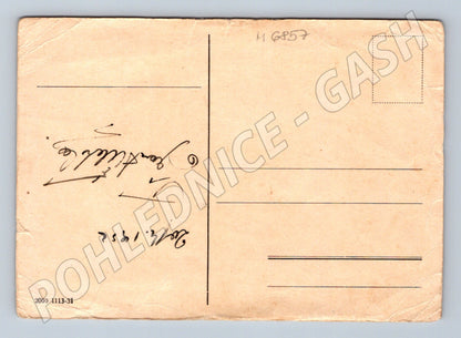 Postcard stylized horse handwritten (M6857)