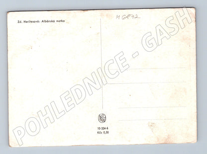 Pohlednice Albánská matka Heritesová etnografie (M6872)