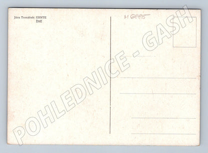 Pohlednice Jára Tomášek Žně (M6885)