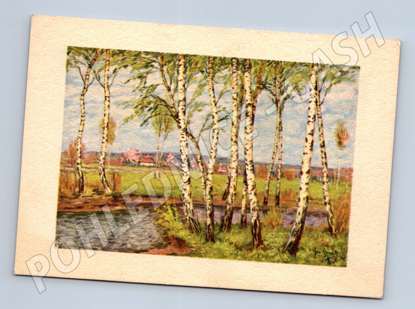 Pohlednice Krajina s břízami Československo (M6889)