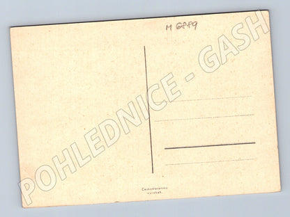 Pohlednice Krajina s břízami Československo (M6889)