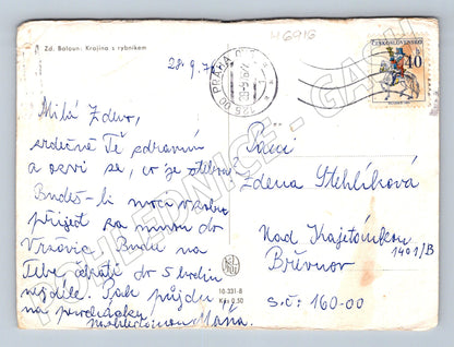 Pohlednice Krajina s rybníkem Baloun 1951 (M6916)