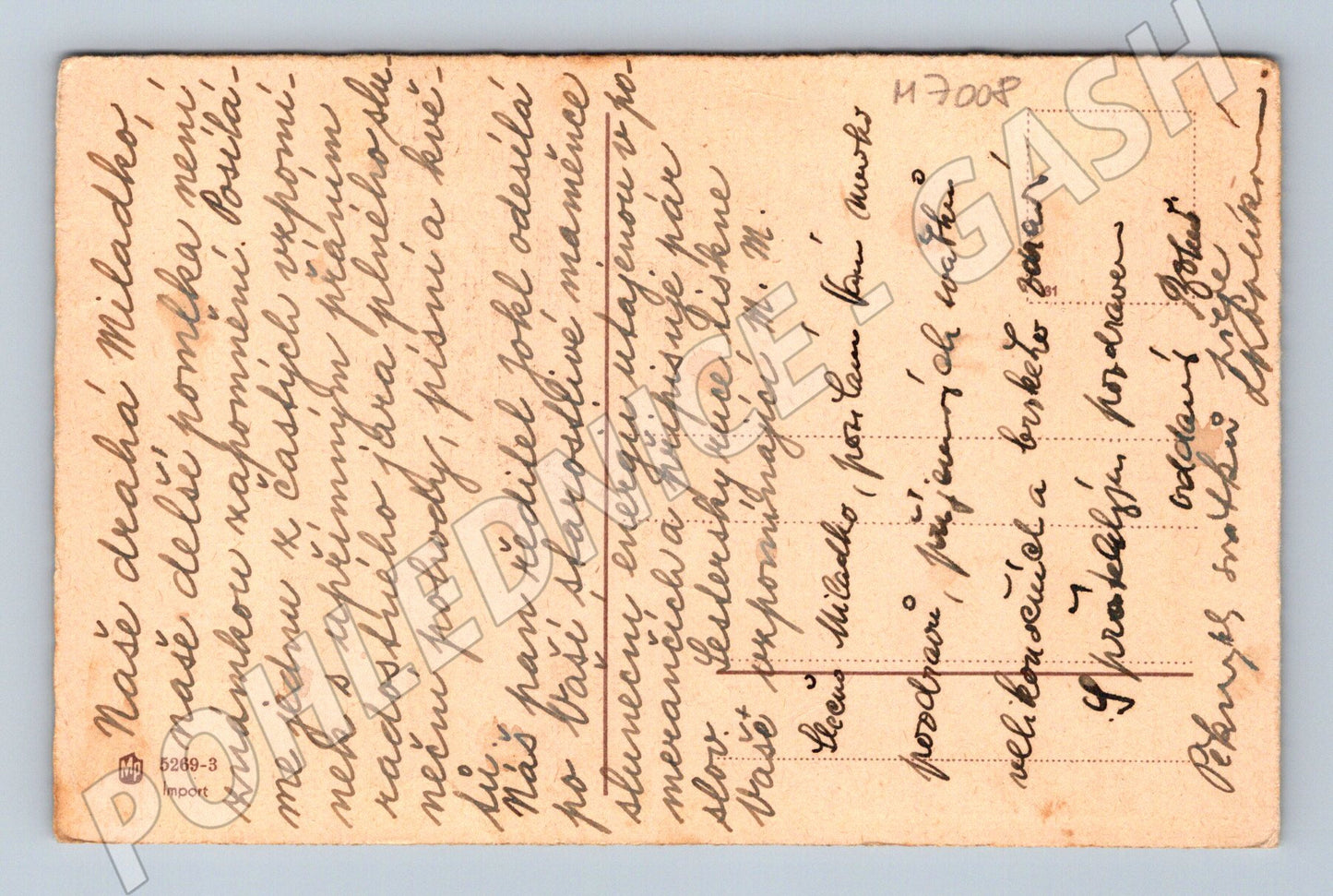 Pohlednice Březový les ČR (M7008)