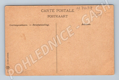 Pohlednice Brusel Čínská pagoda (M7039)