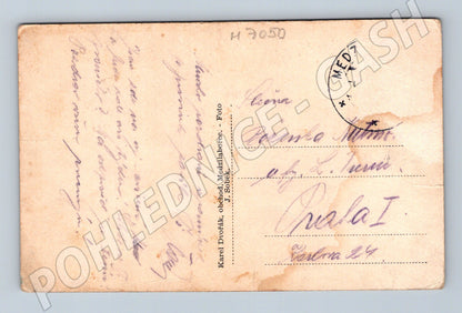Postcard Medzilaborce general view (M7050)