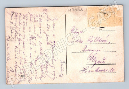 Postcard Trenčín Castle historical (M7053)