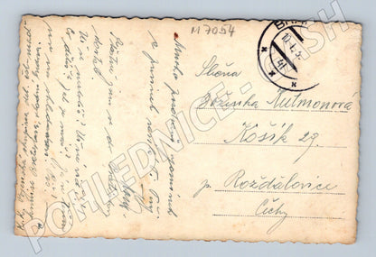 Postcard Bratislava Castle old (M7054)