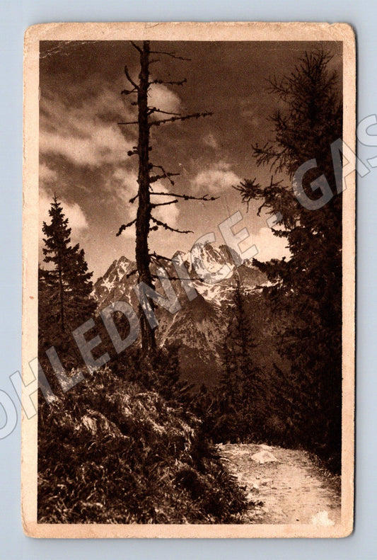 Pohlednice Štrbské Pleso Vysoká (M7115)