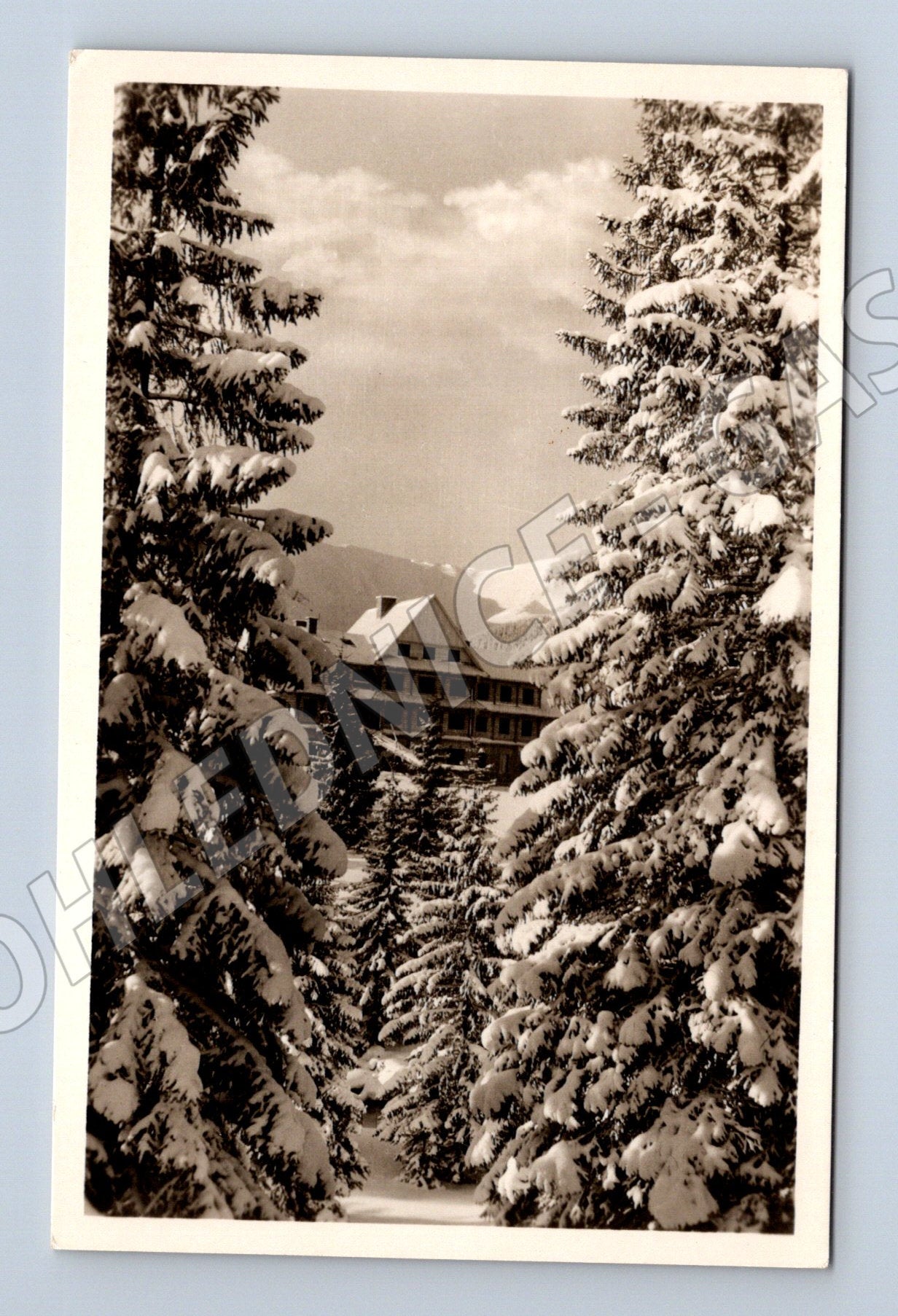 Pohlednice Nízké Tatry Vrbické pleso stará (M7152)